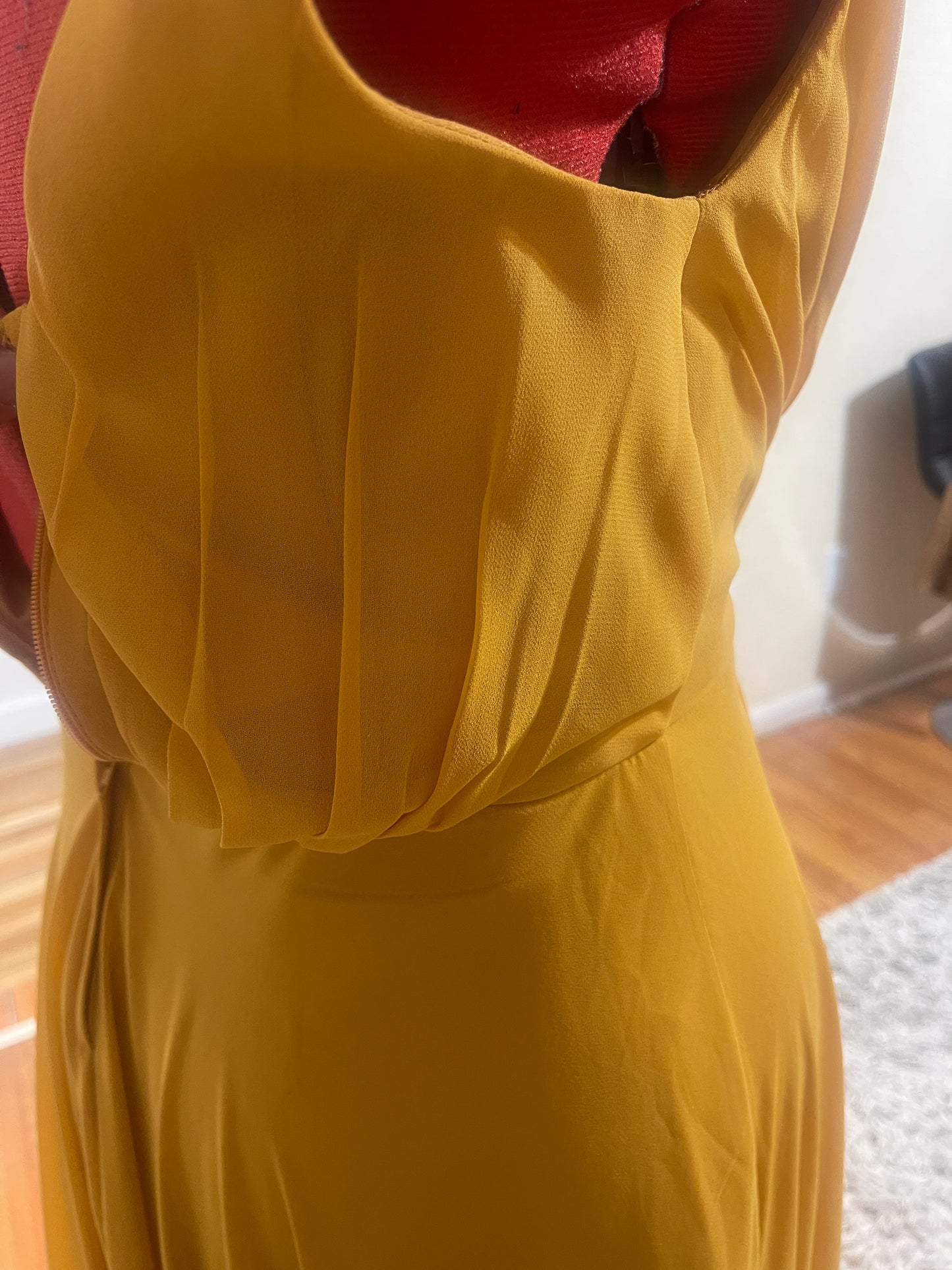 The Gold Dress