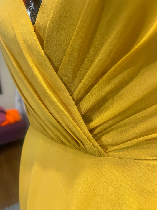 The Gold Dress